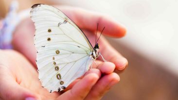 New Knowledge About the True Nature of Freedom