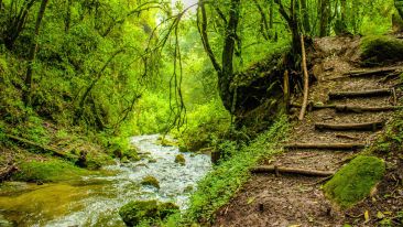 The Secret Path to Self-Perfection