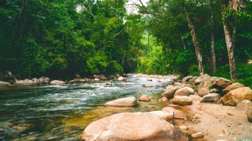 Go Beyond Resistance to Life and Realize Its Flow