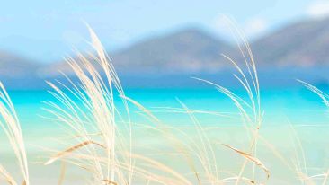 Find Your Own Place in the House of Peace