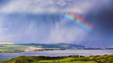 Let Life's Storms Renew You