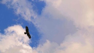 How to Fall into a Fearless State of Being