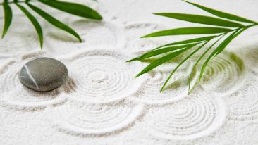 The Quiet Beauty of Being Inwardly Balanced
