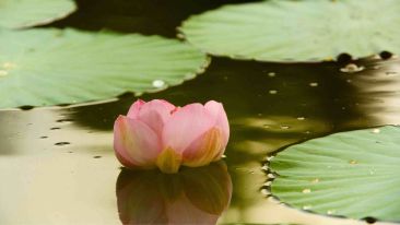 Awaken Your Authentic Spiritual Authority