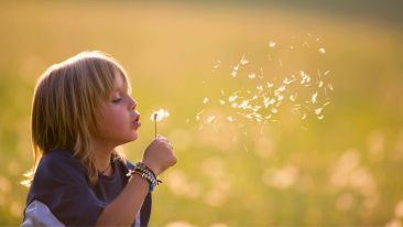Sow the Seeds of Real Self-Change