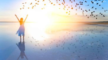 The Freedom to Find Your Heart's Desire