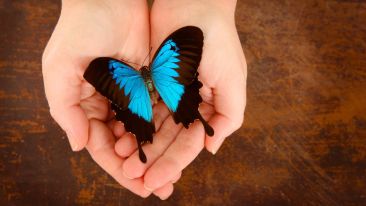 Let Love Teach You About Love