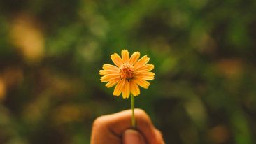 Secrets of Soul Success