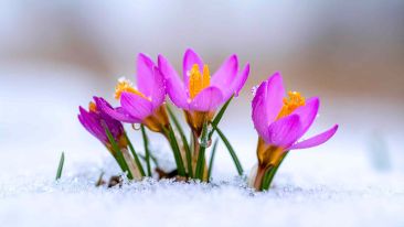 Don't Argue with Life: Use It to Awaken