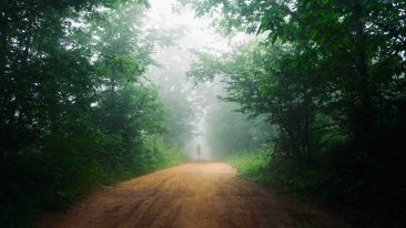 The Wisdom to be Delivered From Painful Desires