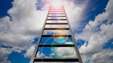 Take the Ladder in Life that Leads into the Light