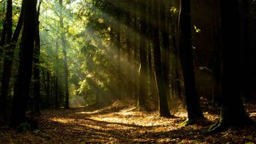 Let Life Show You Its Natural Goodness