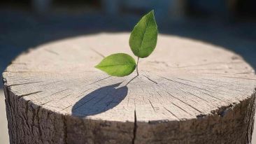 Discover the Secret Strength in Every Weakness