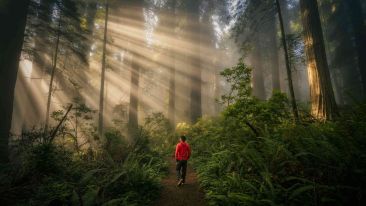 Eight Steps to Inner Success