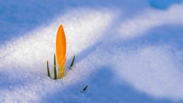 Special Benefits of Self-Knowledge