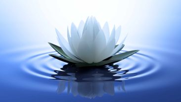Use Your Pain to Realize the True Purpose of Your Life
