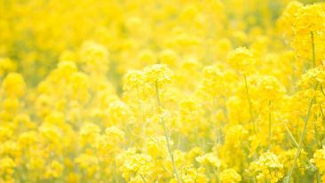 A Bright Lesson to Help You Make a New Beginning
