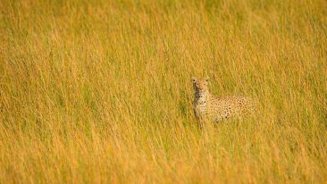 Force Your Selfishness and Jealousy Out of Hiding