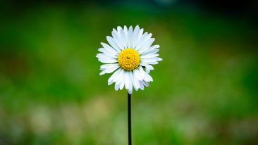 How to Make Way for a New Kind of Will