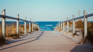 Father, Forgive Them: For They Know Not What They Do