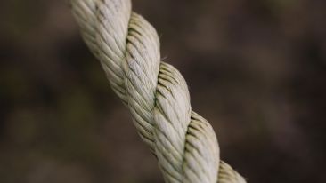 The Power to Release Yourself from Painful Tension