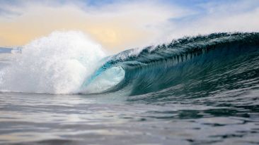 Online Study Group Meeting for Tuesday (1/14/2019)