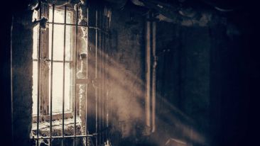 How to See and Free Yourself From the Prison of 
