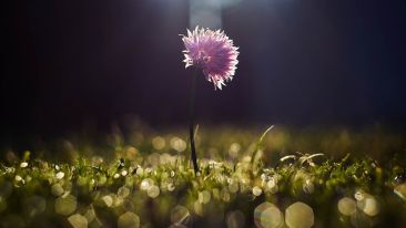 Use This Knowledge to Let Go and Outgrow Who and What You Have Been