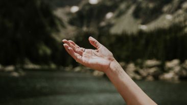 Online Study Group Meeting for Tuesday (2/5/2019)