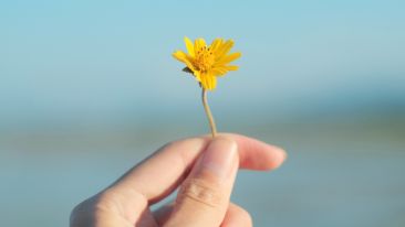 Move from the Mental How into the Spiritual Now