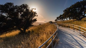 Use Moments of Crisis for Self Discovery