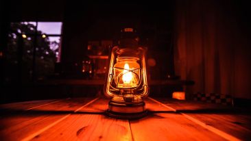 Stay Close to the Light
