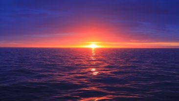 Develop Your Connection to the Divine and Discover All You're Created to Be