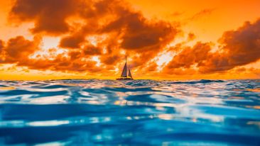 Seven Questions for Self-Wholeness