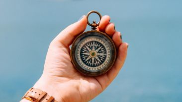 Online Study Group Meeting for Monday (11/4/2019)