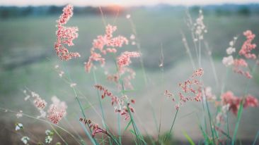 Online Study Group Meeting for Monday (12/2/2019)