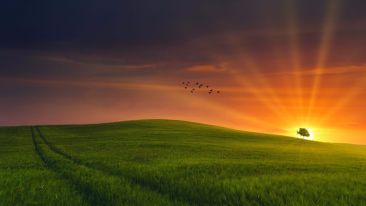 Online Study Group Meeting for Monday (6/28/2021)