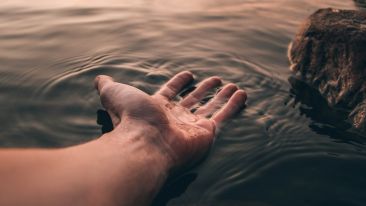 Online Study Group Meeting for Tuesday (10/15/2019)