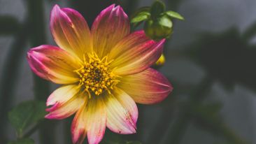 Online Study Group Meeting for Tuesday (6/2/2020)