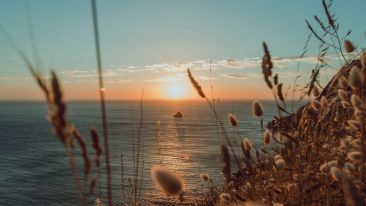 Online Study Group Meeting for Monday (7/27/2020)