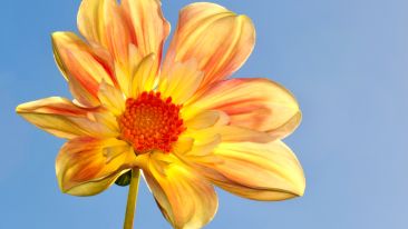 Online Study Group Meeting for Monday (6/28/2021)
