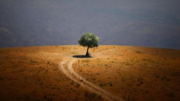 Go Beyond Painful Limitation to Realize Fearless Being