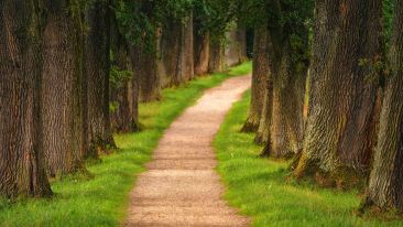 Take the Divine Path to Perfect Peace and Be Trouble-Free
