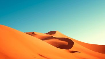 Online Study Group Meeting for Monday (2/26/2024)