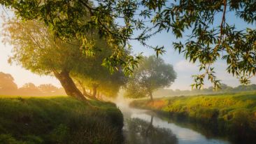 End the Dark Cycle of Discontentment