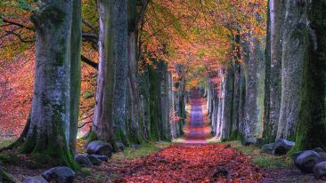 Take the Secret Path that Leads to Perfect Peace