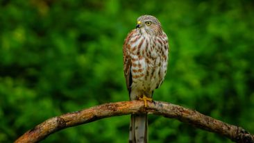 The Freedom to Change Your Experience of Life