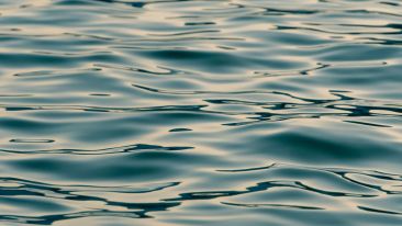 Let Go and Flow with Real Life