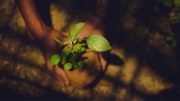 Plant the Seeds of a New Self
