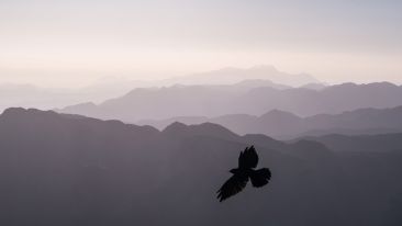 Release Yourself From This Painful Illusion and Watch Resentment Disappear